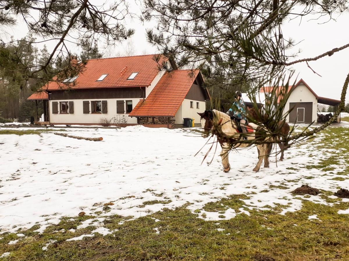 Przytulisko Stara Kiszewa Villa Dış mekan fotoğraf